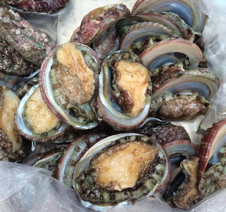 Bào Ngư Hàn Quốc (Sống)